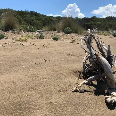 Liana Monolocale 아파트 산빈첸초