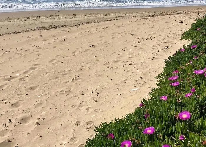 아파트 Liana Monolocale 산빈첸초