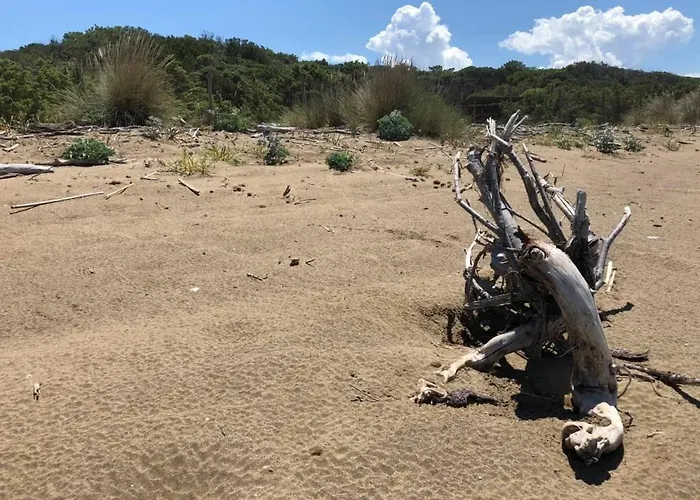 Liana Monolocale 아파트 산빈첸초