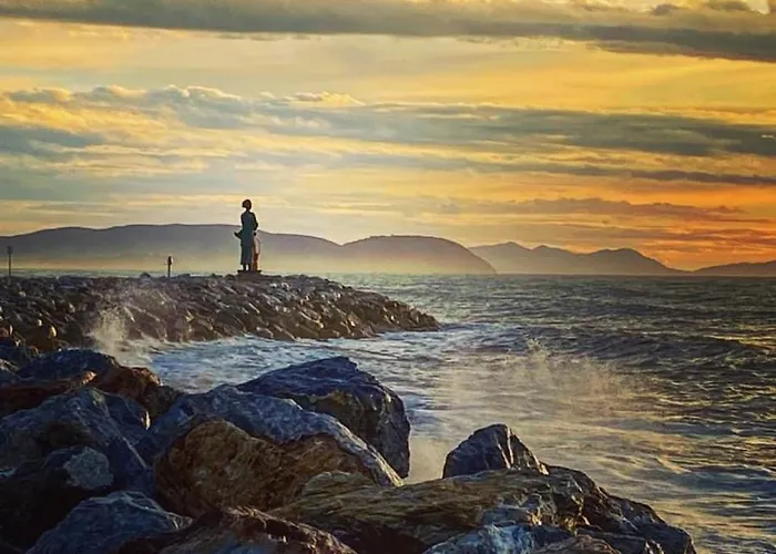 Liana Monolocale 아파트 *